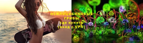 круглые Абаза