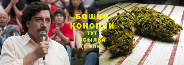 шишки Абинск