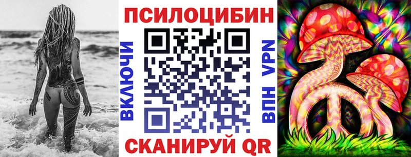 продажа наркотиков  Шахты  Псилоцибиновые грибы GOLDEN TEACHER 